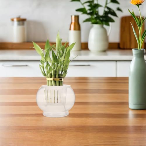 Glass Self Watering Planter Round Desktop Hydroponic Flower Vase - Image 5