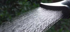 Dramm One Touch Fan Nozzle Handlheld Sprayer with Thumb Control Water Flow, Perfect for Water Restricted Areas when Watering Plants, Pots, Baskets, Vegetables, Berry - Image 6