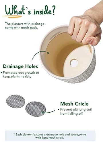 LE TAUCI Ceramic Pots for Plants, 5.4 Inch Plant Pots with Drainage Hole and Saucer, Indoor Plant Pots for Succulent, Snake Plants and Cactus, Flower Pots, Set of 2, Reactive Glaze White - Image 6