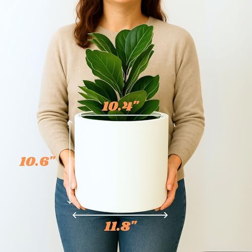 Fox & Fern Large Planter for Indoor or Outdoor, White Matte, 12 Inch - Image 6
