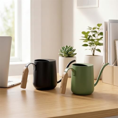 Plant Watering Can, Metal Small Indoor Watering Can with Long Spout & Real Wood Handle for House-Plants, Succulents, Cacti & Seedlings, Small Bonsai Outdoor Garden Modern Decorative - Image 4
