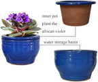 African Violet Pots Self Watering Blue 6 inch - Image 4