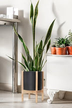 D'vine Dev Plastic Pot with Natural Wood Stand, Black, 10 in, 55-C-M-2 - Image 2