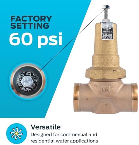 Cash Acme EB45 Pressure Regulating Valve, 1-1/4 Inch NPT Threaded, Metal Top, 60 PSI, PVA35M-DTH-60 - Image 3