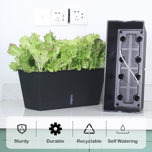 Window Box Planter 6 Pcs, 16.5 Inches Self Watering Rectangle Flower Plant Pots with Drainage Holes Trays, Vegetable Planters for Windowsill Patio Garden Balcony Porch Yard (Black) - Image 2