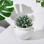 1 Set 7.5 Inch African Violet Pots Self Watering Ceramic - Image 6