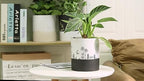 Nihow Self Watering Pots for Indoor Plants,6 Inch,White,Hand Painting - Image 4