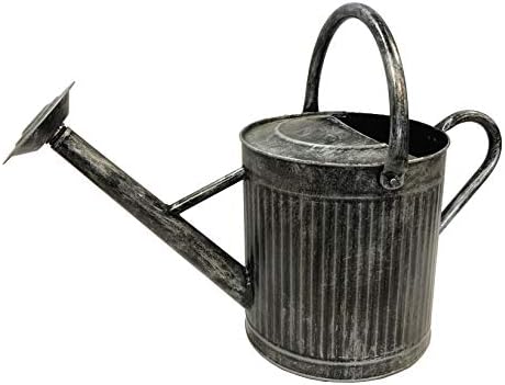 Gardener Select (W3002P-JA Metal Watering Can - Modern Indoor & Outdoor Watering Pot with Handles & Removable Rosette (9.5 Liter, Silver Black) by GardenerSelect