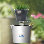 King's Gardening Clever Pot - Self Watering Pot for Indoor Outdoor Use, Animated Cloud Water Level Indicator, UV Resistant Planter, Ideal for Flowers, African Violets, and More 8" (Pearl Cloud) - Image 4