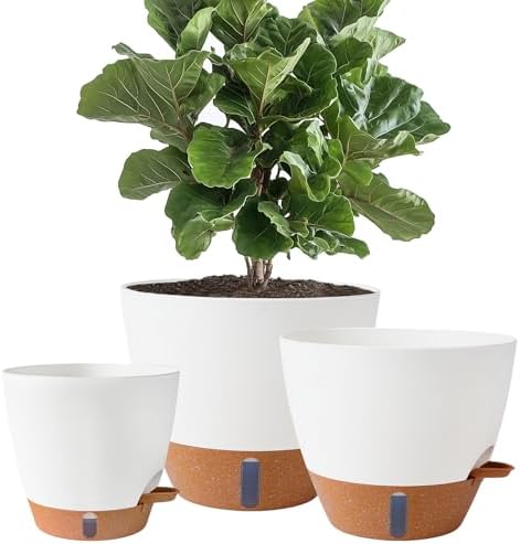 8/10/12 Inch Self Watering Pots for Indoor/Outdoor Plants by Fielda
