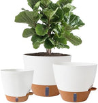 8/10/12 Inch Self Watering Pots for Indoor/Outdoor Plants by Fielda