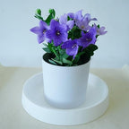Plant Saucer Tray for Ceramic Plastic Pots, 20 inch Plant Saucers for Indoors, Pot Saucers Trays, Bird Bath Bowls, Flower Planter Water Drip Trays for Pots Base (20", White) - Image 4