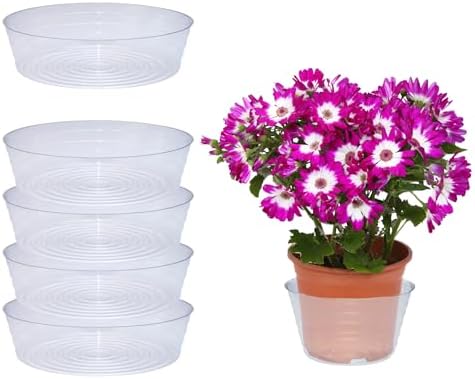 Curtis Wagner Plastics Plant Tray Basket Liner (5-Pack) - Clear, Deep (Diameter: 12.25" Base, 14" Top, 3.62" Depth) Thin Plastic Liners for Planters for Indoor/Outdoor Plant Pots by CurtisWagnerPlasticsCorp