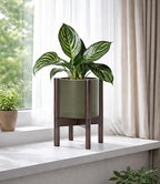 D'vine Dev Plastic Pot with Walnut Wood Stand, Olive, 8 in, 55-C-I-3 - Image 6