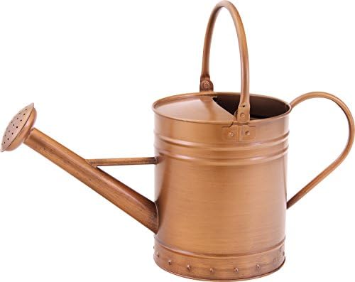 BEHRENS 1RCWC Galvanized Water Can, 1-1/4-Gallon by Behrens