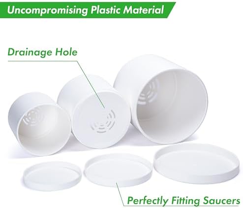 D'vine Dev 3-Pack Plastic Pots & Saucers, 6.5/8/10 in, White, 74-V-A-4 - Image 4