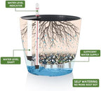 Dexceder 11x10 Self Watering Planters Indoor (2 Pack, Deep Blue) - Image 3