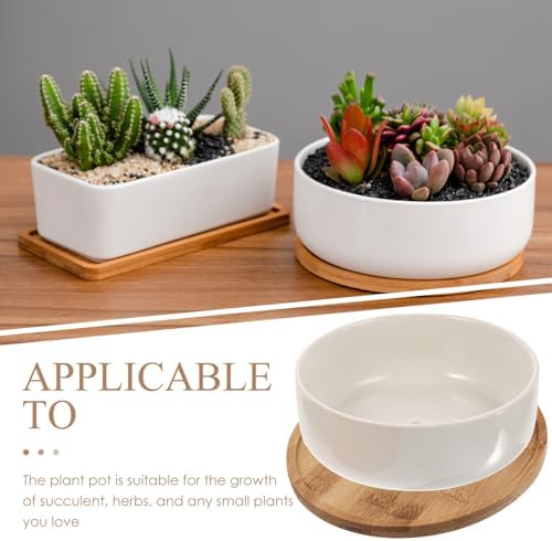 Tofficu White Ceramic Bonsai Plant Pot with Tray, Round Succulent Planter Pot for Small Plants, Prevent Over-Watering and Overflow, for Home and Balcony Gardening - Image 7