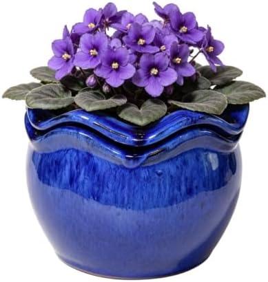 Ceramic Self-Watering African Violet Pots for Indoor Plants by krayceSerenya