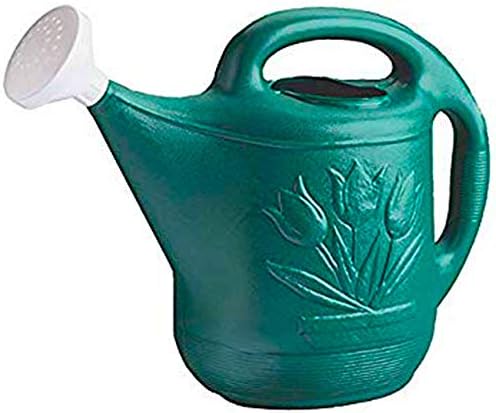 Novelty MFG Watering Can, 2-Gallon, Green (Pack of 2) by Novelty