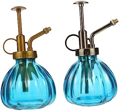 Vintage Glass Watering Spray Bottle 2Pcs for Flowers and Succulents by LIOOBO