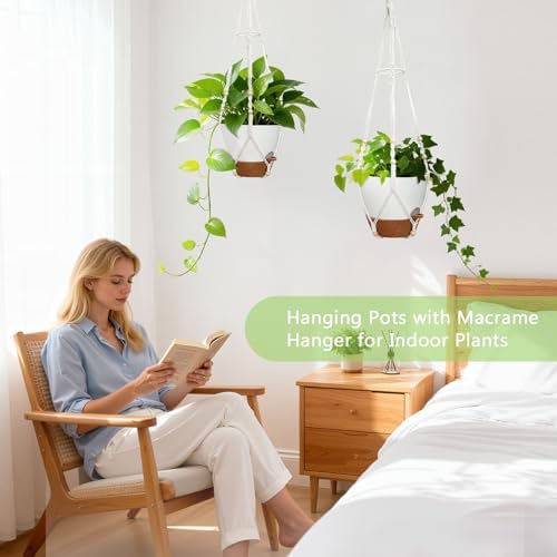 Hanging Planters - Help Plants Thrive in Low Light - Image 2