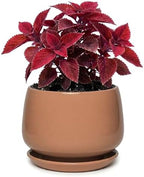7.5 Inch Ceramic Planter with Saucer,Modern Garden Pots with Drainage Hole Mesh Net, for Indoor Outdoor Use(Reddish Brown) by Unknown