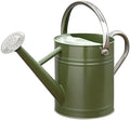 Metal Watering Can, 1 Gallon for Outdoor Garden Plants,EGreen by yourjoy