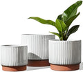 LE TAUCI Ceramic Pots for Plants, 8+6.7+5.5 Inch Plant Pots Indoor, Flower Pot with Drainage Holes, Medium Cylinder Planters for Indoor House Plants, Set of 3, Reactive Glaze White by LETAUCI