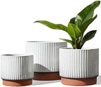 LE TAUCI Ceramic Pots for Plants, 8+6.7+5.5 Inch Plant Pots Indoor, Flower Pot with Drainage Holes, Medium Cylinder Planters for Indoor House Plants, Set of 3, Reactive Glaze White by LETAUCI