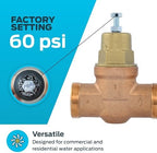 Cash Acme EB45 Pressure Regulating Valve, 1 Inch NPT Threaded, Metal Top, 60 PSI, PVA20M-DTH-60 - Image 3
