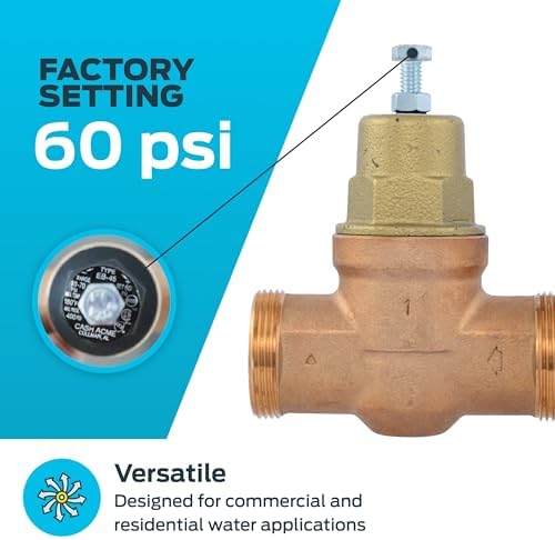 Cash Acme EB45 Pressure Regulating Valve, 1 Inch NPT Threaded, Metal Top, 60 PSI, PVA20M-DTH-60 - Image 3