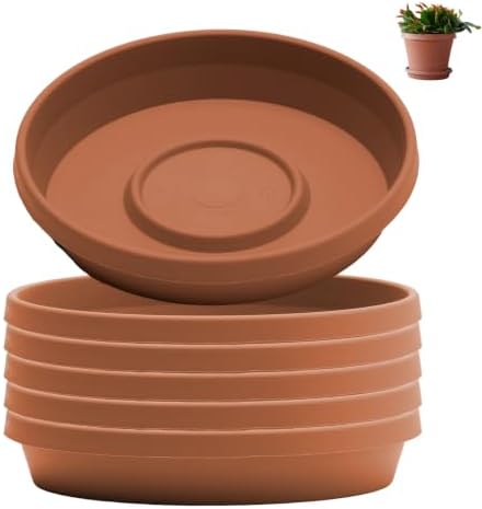 Bloem Terra Plastic Saucer Tray for 8" Terra Planters, Terra Cotta, 6-Pack by Bloem