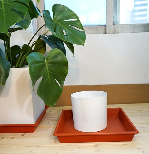 NIMYAU Square Plant Saucer 14 Inch 2 Pack 6 8 10 12 14 16 18 20 Inch, Plant Trays for Pots Heavy Duty Plastic Plant Saucers for Indoors Outdoors, Flower Pot No Holes Plant Drip Trays - Image 6