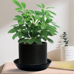 Plant Saucer 8 Inch, 2 Pack Large Plant Saucers Ceramic Tray 8 inch (7.3" Inner) for Flower Pot, Classic Sturdy Planter Water Catcher Tray for Plant Base,Black - Image 3
