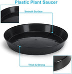 Saucers, 6 Inch, Black, Case of 100 Plant Saucers - Image 3