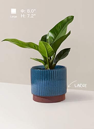 LE TAUCI Ceramic Pots for Plants, 8+6.7+5.5 Inch Plant Pots Indoor, Flower Pot with Drainage Holes, Medium Cylinder Planters for Indoor House Plants, Set of 3, Blue - Image 3