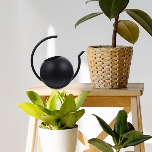 Black Stainless Steel Watering Can, 1l Thin Spout for Plants - Image 7