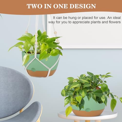 3 Pack Hanging Planter for Indoor Plants, 10inch Self-Watering Hanging Plant Pot, Macrame Plant Hanger with Pot, Chain, S & Ceiling Hooks, Removable Saucer and Drainage Holes for Garden Home - Green - Image 7