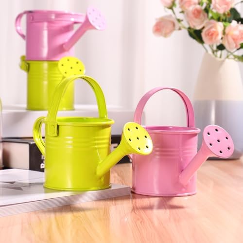 5 Pcs Kids Watering Cans, Mini Metal Plant Watering Can with Long Spout, Small Tin Flower Pots for Indoor Outdoor Gardening - Image 6