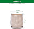 D'vine Dev Beaded Ceramic Pot with Saucer, 6 in, Light Brown, 27-C-X-4 - Image 3