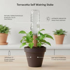 Terracotta Plant Spike, Natural Clay Irrigation Stake for Standard Bottles, 7.1 Inch Slow Release Dripper for Indoor Pots & Hanging Baskets (1 Pack) - Image 4