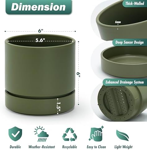 Phoenix Vine 6 Inch Planter Pot with Drainage Hole & Saucer, Deep Water Catch Tray, Straight Cylindrical Round Pot for Plants, Olive, Pack of 4, 23-D-S-4 - Image 3
