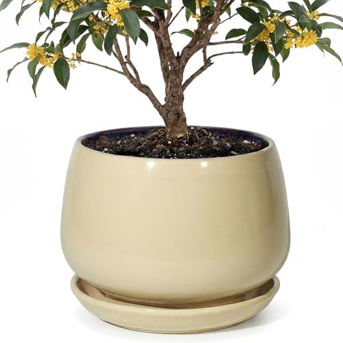 10.3 Inch Ceramic Planter with Saucer,Modern Garden Pots with Drainage Hole Mesh Net, for Indoor Outdoor Use (Pink Yellow) by Unknown