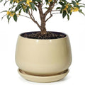 10.3 Inch Ceramic Planter with Saucer,Modern Garden Pots with Drainage Hole Mesh Net, for Indoor Outdoor Use (Pink Yellow) by Unknown