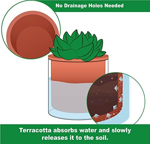 Phoenix Vine 4 Inch 6 Inch Self Watering Plants Pots, Design Terracotta Pots for Plants, Indoor Cylinder Terra Cotta Planter with Glass Vase Set, 51-A-G-46 - Image 4
