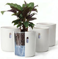 Self Watering Planters, 4 Inch Pot with Water Reservoir, Nylon Wick & Clear Inner Pot, Bottom Water System | Self Watering Pots for Indoor & Covered Outdoor Plants | White | Pack of 4 by Wavyleaf