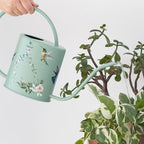 Indoor Watering Can & Mist Spray Bottle Set for Indoor Plants - Decorative - Image 2