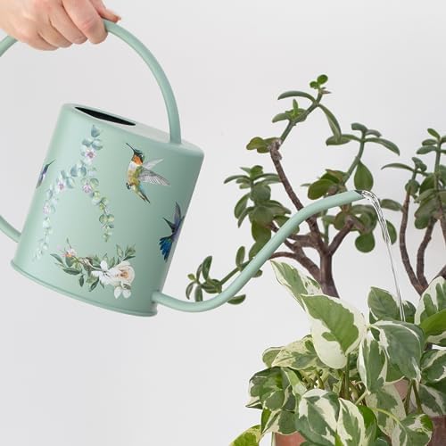 Indoor Watering Can & Mist Spray Bottle Set for Indoor Plants - Decorative - Image 2