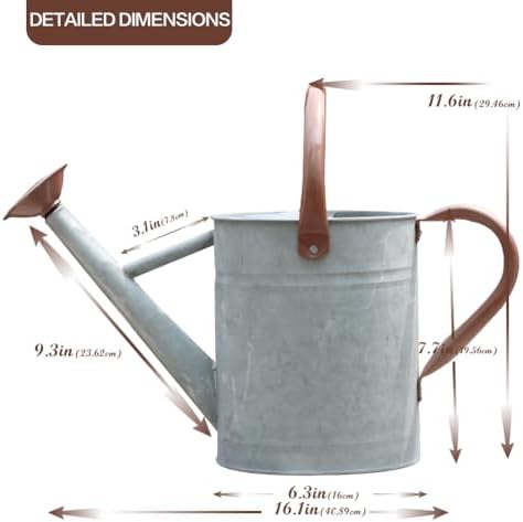 Metal Watering Can 1 Gallon for Outdoor Garden Plants, Zinc - Image 2